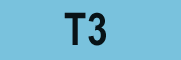 T5.gif (548 bytes)