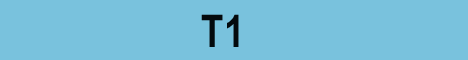 t1.gif (523 bytes)